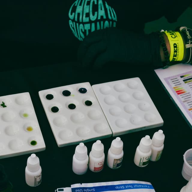 A person using colorimetric reagents to test drugs